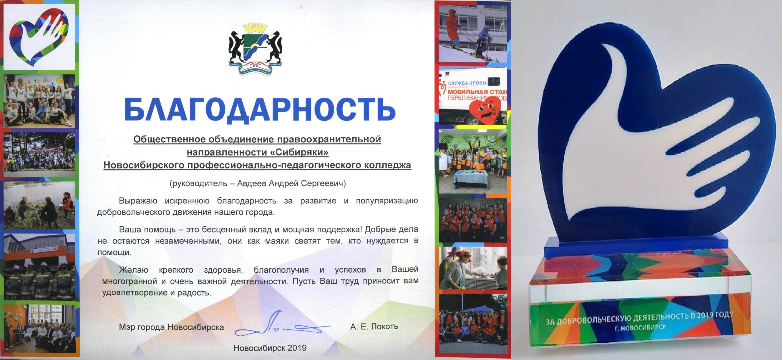 Диплом и наградной знак министерства образования Новосибирской области 